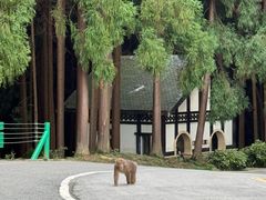 -太阳湾风景区