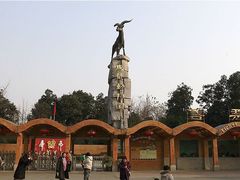 -成都动物园