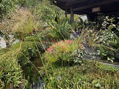 -腾冲洞山温泉村