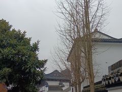 -丝绸小镇荻港古村