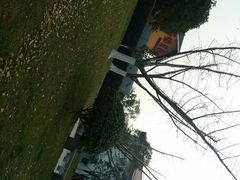 android_upload_pic-浙江三立开元名都大酒店