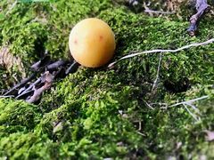 -白塘生态植物园