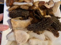 -蘑统田下·野生菌火锅