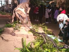 -自贡恐龙博物馆