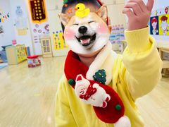 -黄浦乐烁龙鱼宝贝托育园(海潮路校区)