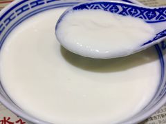 招牌姜撞奶-捷信牛奶甜品世家(五道口店)