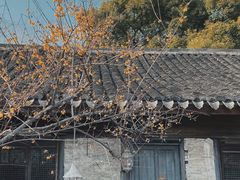-鸣鹤古镇