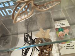 -ajidou阿吉豆(沈阳太原街万达广场店)