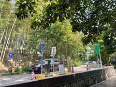 -紫金山山顶公园