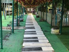 -麻涌飞鸭开心农场