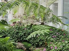 -罗红摄影艺术馆