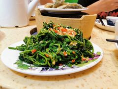 凉拌桑叶-芳村榕树头叹佬鸡煲(体育西店)