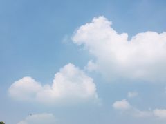 -风云岭森林公园