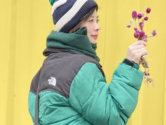 -春花秋色城市公园