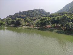 -风云岭森林公园