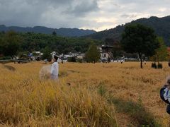 -塔川景区