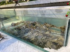 -川骄海鲜自助(河东店)