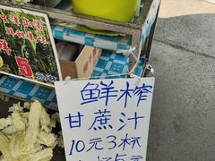-西双版纳傣族园