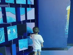 -海合安成都极地海洋公园