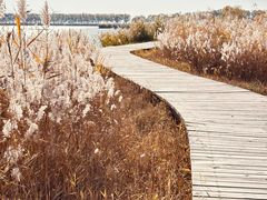 -野鸭湖国家湿地公园