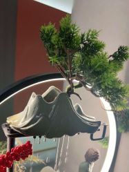 -木北造型