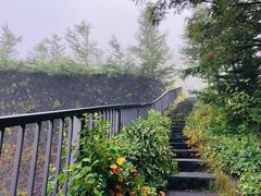 -富士山吉田線五合目