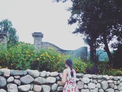 -紫海香堤香草艺术庄园