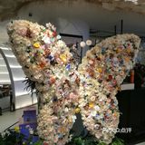 这家餐厅还挺不错。