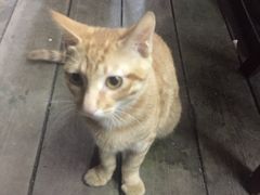 -巧云大馄饨(南阴阳营总店)