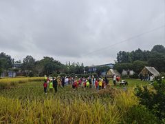 -洪湖家庭农场·团建·露营·会议