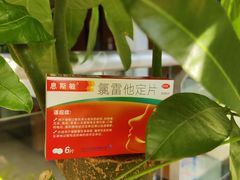 -飞翔公园(地铁站)