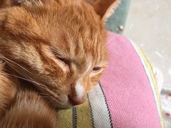 -月枫堂(长春这有山店)