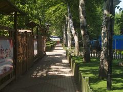 -黄村公园
