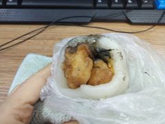 -上海虹口糕团食品厂(欣兴店)