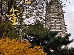 -舍利塔滩地公园-无垢净光舍利塔