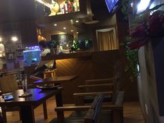 -喵园·猫主题咖啡厅·撸猫·猫咖(国贸店)