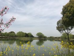 -旭宝高尔夫俱乐部