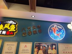 -新概念来凤鱼(璧山店)