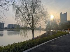 -金沙湖公园