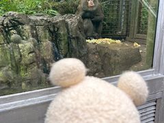 -黔灵山公园