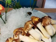 松茸菌-滇色蒸汽石锅鱼(京华城店)
