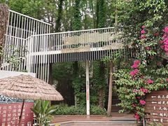 -二荆条·城市森林火锅旗舰店