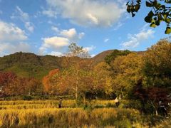 -塔川景区