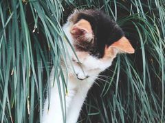 -苏州河梦清园环保主题公园