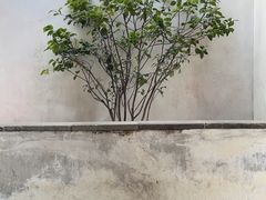 -拙政园