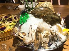 -尚海豆捞(乐虹坊店)