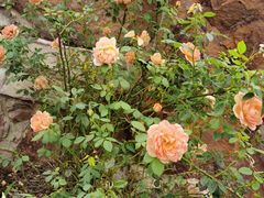 -云和夜泊酒店·中餐厅