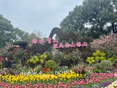 -南山植物园