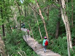-白草畔自然风景区
