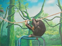 -宁波野生动物园
